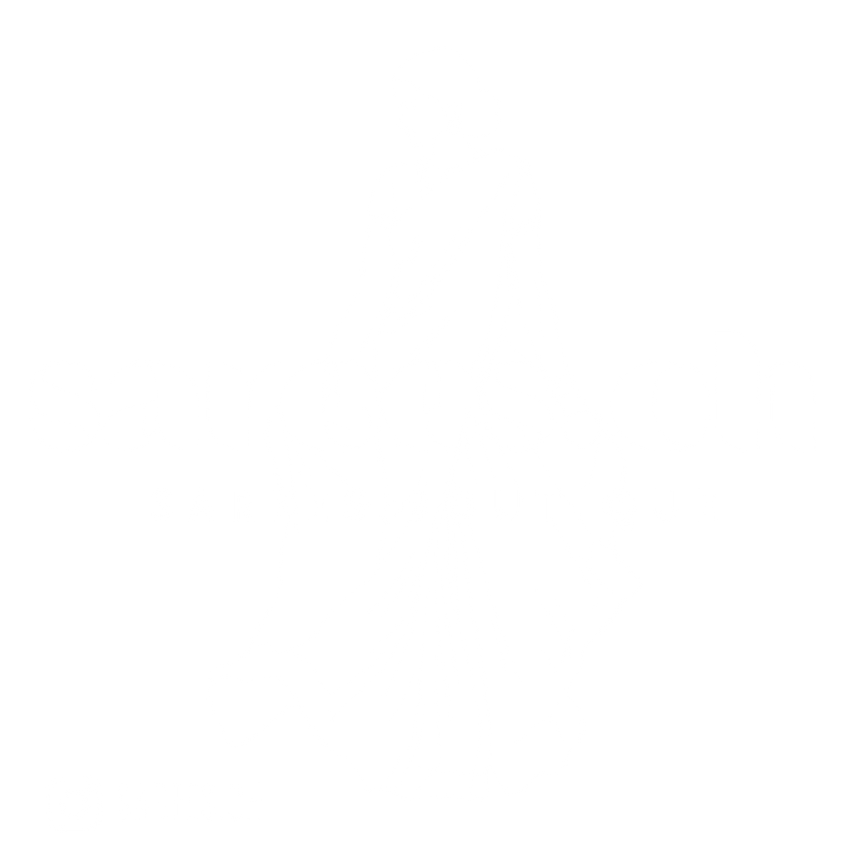 Sarees.ch